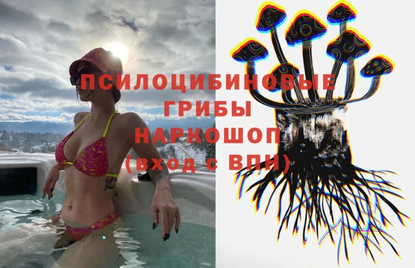 дживик Гусев