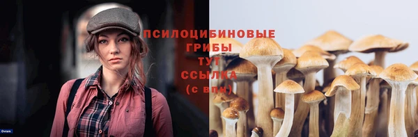метамфетамин Гусь-Хрустальный