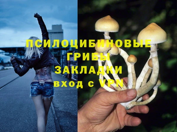 ПСИЛОЦИБИНОВЫЕ ГРИБЫ Гусиноозёрск