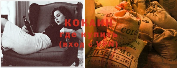 ПСИЛОЦИБИНОВЫЕ ГРИБЫ Гусиноозёрск