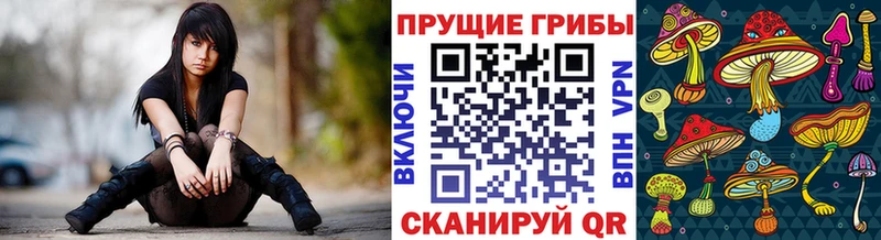 Псилоцибиновые грибы MAGIC MUSHROOMS  Купить закладки  Беломорск 